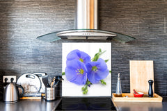 Antiprojections verre sécurité; BS03 Série fleurs: Fleur bleue 1