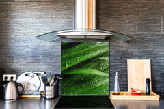 Kitchen & Bathroom splashback BS17 Green grass and cereals Series Leaf Drops Of Water 1
