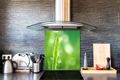 Kitchen & Bathroom splashback BS17 Green grass and cereals Series Leaf Drops Of Water 5