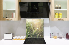 Kitchen & Bathroom splashback BS17 Green grass and cereals Series Grass Leaf Green 1