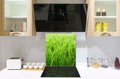 Kitchen & Bathroom splashback BS17 Green grass and cereals Series Grass Leaf Green 3