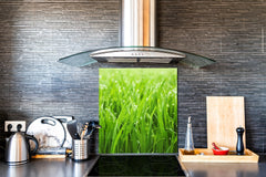 Kitchen & Bathroom splashback BS17 Green grass and cereals Series Grass Leaf Green 3