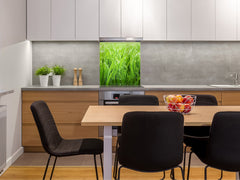 Kitchen & Bathroom splashback BS17 Green grass and cereals Series Grass Leaf Green 3