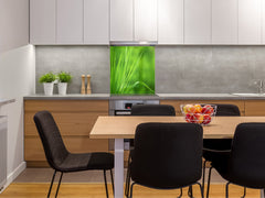 Kitchen & Bathroom splashback BS17 Green grass and cereals Series Grass Leaf Green 7