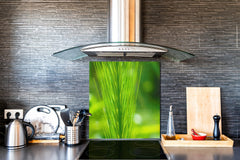 Kitchen & Bathroom splashback BS17 Green grass and cereals Series Grass Leaf Green 8