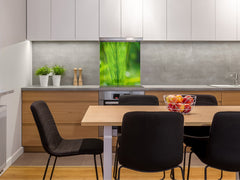 Kitchen & Bathroom splashback BS17 Green grass and cereals Series Grass Leaf Green 8