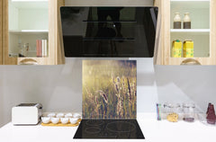 Kitchen & Bathroom splashback BS17 Green grass and cereals Series Cereal Meadow Stalk 1