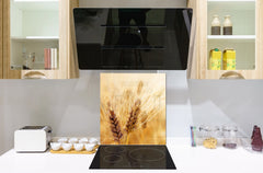 Kitchen & Bathroom splashback BS17 Green grass and cereals Series Cereal Meadow Stalk 3