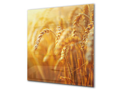 Kitchen & Bathroom splashback BS17 Green grass and cereals Series Cereal Meadow Stalk 5