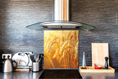 Kitchen & Bathroom splashback BS17 Green grass and cereals Series Cereal Meadow Stalk 5