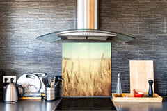 Kitchen & Bathroom splashback BS17 Green grass and cereals Series Cereal Meadow Stalk 7