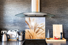 Kitchen & Bathroom splashback BS17 Green grass and cereals Series Cereal Meadow Stalk 8