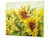 Induction Cooktop cover 60D06A: Sunflower 3