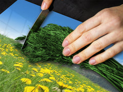 Tempered GLASS Kitchen Board – Impact & Scratch Resistant; D08 Nature Series: Flowers