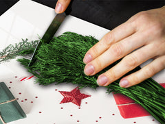 Tagliere in vetro temperato – Tagliere e proteggi; D20 Serie di Natale Bastone di San Nicola