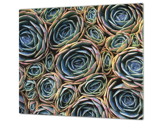 Induktionskochfeldabdeckung 60D06A: Kaktusblüten