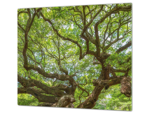 Worktop saver and Pastry Board 60D08: Tree 1