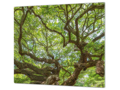 Worktop saver and Pastry Board 60D08: Tree 1