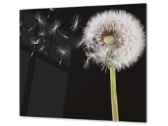 Glass Cutting Board and Worktop Saver D06 Flowers Series: Dandelion 2