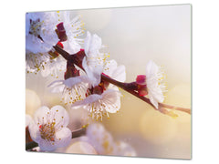 Induktionskochfeldabdeckung 60D06A: Kirschblüte 3