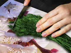 Induktionskochfeldabdeckung 60D06A: Kirschblüte 3