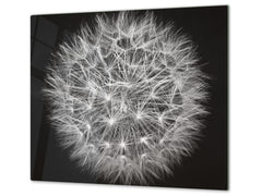 Glass Cutting Board and Worktop Saver D06 Flowers Series: Dandelion 4