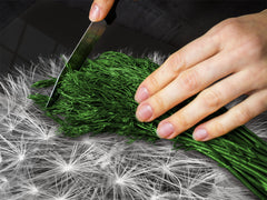Glass Cutting Board and Worktop Saver D06 Flowers Series: Dandelion 4