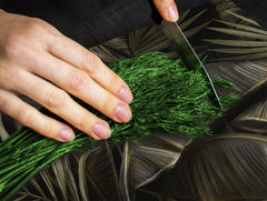 Induction Cooktop Cover Kitchen Board – Impact Resistant Glass Pastry Board – Heat resistant; MEASURES: SINGLE: 60 x 52 cm (23,62” x 20,47”); DOUBLE: 30 x 52 cm (11,81” x 20,47”); D31 Tropical Leaves Series: Exotic pattern 1