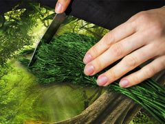 Arbeitsplattenschoner und Nudelbrett 60D08: Amazonia