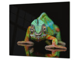 Tempered GLASS Cutting Board 60D01: Chameleon 2