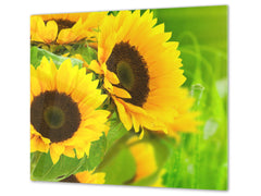 Glass Cutting Board and Worktop Saver D06 Flowers Series: Sunflower 1