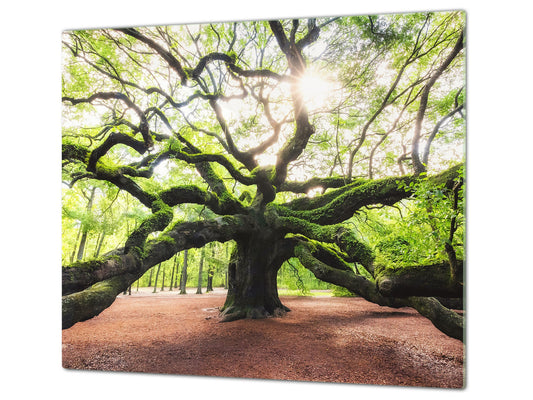 Worktop saver and Pastry Board 60D08: Tree 2