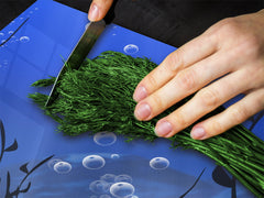 Tempered GLASS Cutting Board – Worktop saver D15 Drawings Series: Water 3