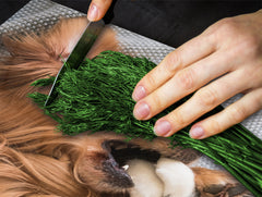 Schneidebrett aus gehärtetem Glas 60D01: Hund mit Katze