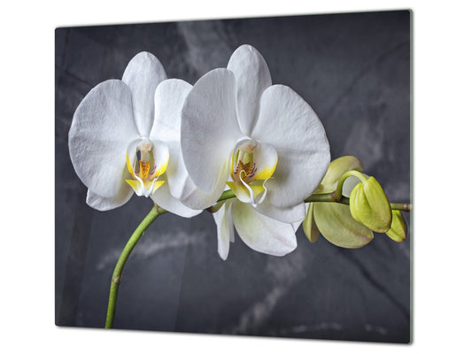 Worktop Saver 60D06B: White orchid 2
