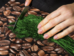 KITCHEN BOARD & Induction Cooktop Cover D05 Coffee Series: Coffee 134