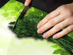 Tempered GLASS Kitchen Board – Impact & Scratch Resistant; D08 Nature Series: Leaves 11