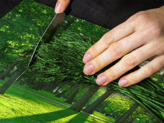 Tempered GLASS Kitchen Board – Impact & Scratch Resistant; D08 Nature Series: Trees 2