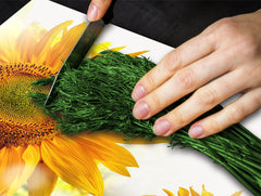 Cubierta de placa de inducción 60D06A: Girasol 1