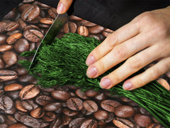 Tabla de cortar decorativa de cristal templado y cubre vitro D05 Serie Café: Cafe 121