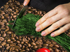 KITCHEN BOARD & Induction Cooktop Cover D05 Coffee Series: Coffee 137