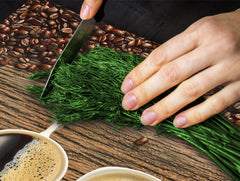 Glass Kitchen Board 60D07: Types of coffee 2