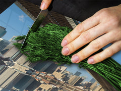 CUTTING BOARD and Cooktop Cover D11 Cities Series: bridge 1