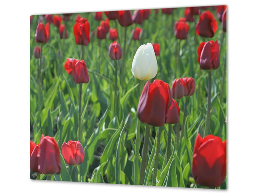 Planche à découper en verre – Couvre-plaques de cuisson D06 Série Fleurs: Tulipes 3