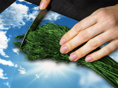 Tempered GLASS Kitchen Board – Impact & Scratch Resistant; D08 Nature Series: Sky 2