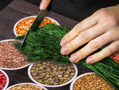 Glass Kitchen Board 60D03A: Healthy spices