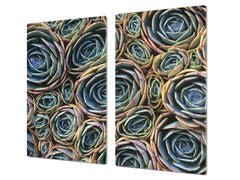 Induktionskochfeldabdeckung 60D06A: Kaktusblüten