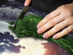 Glass Pastry Board 60D18: Digital world