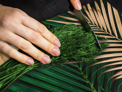 Induction Cooktop Cover Kitchen Board – Impact Resistant Glass Pastry Board – Heat resistant; MEASURES: SINGLE: 60 x 52 cm (23,62” x 20,47”); DOUBLE: 30 x 52 cm (11,81” x 20,47”); D31 Tropical Leaves Series: Creative nature background