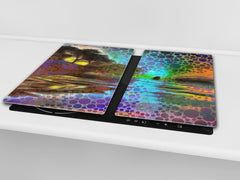 Glass stove top 60D19: A colorful picture